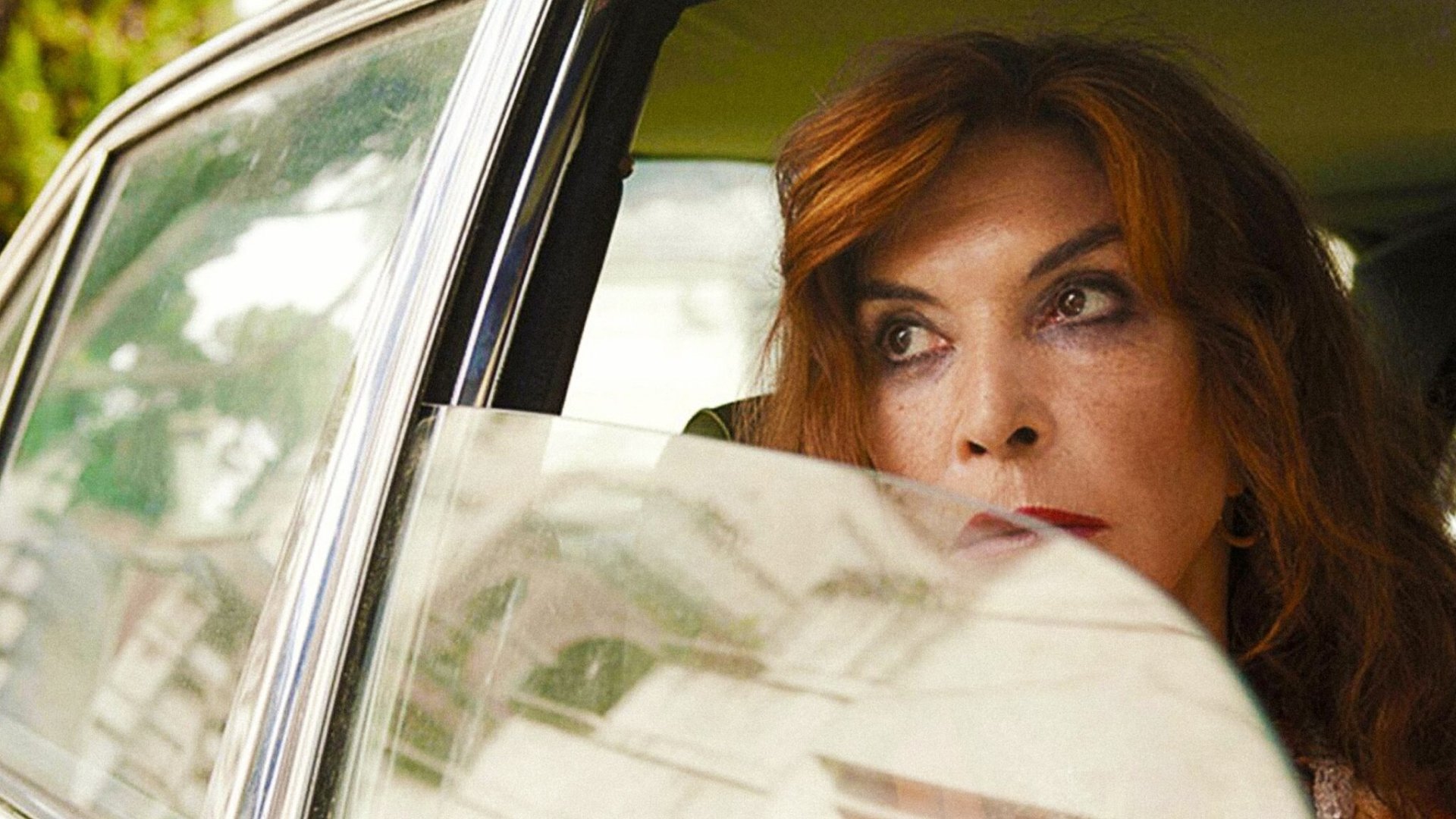 Leone nel basilico Background