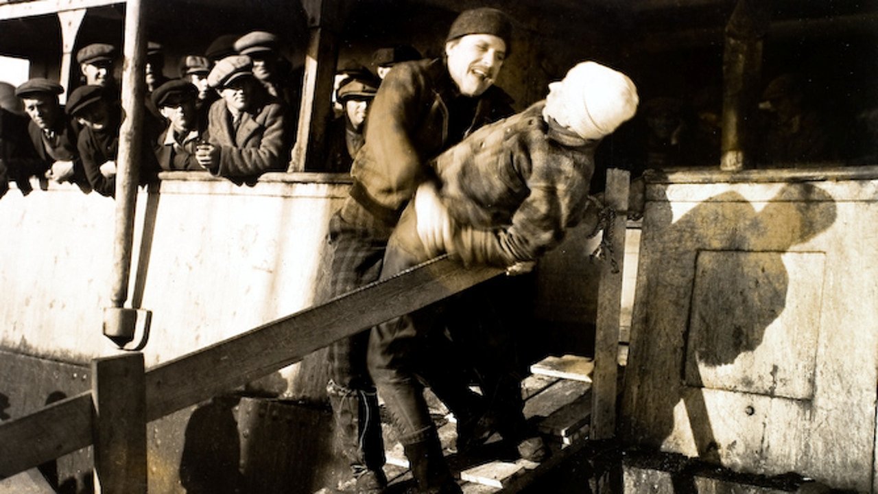 The Viking Background