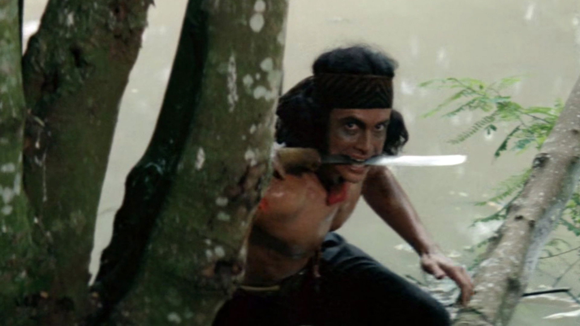 The Warrior Background