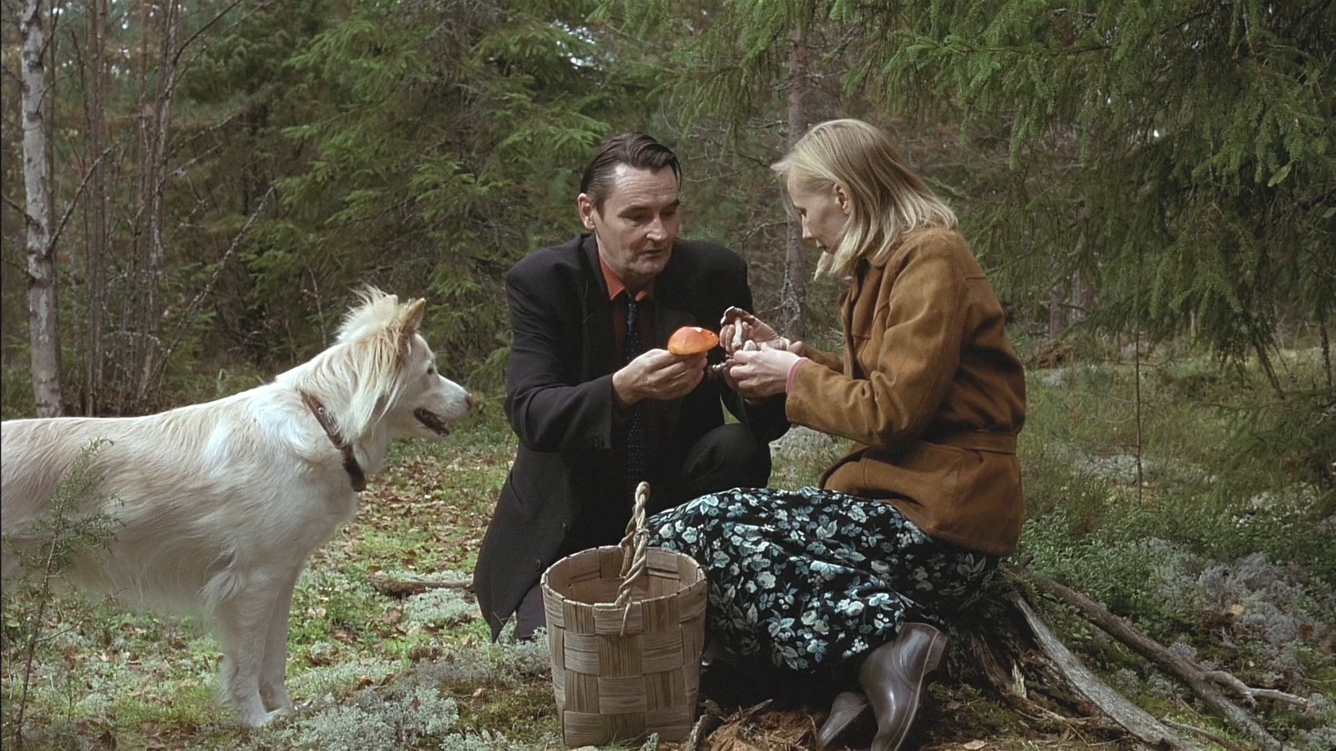 The Man Without a Past Background