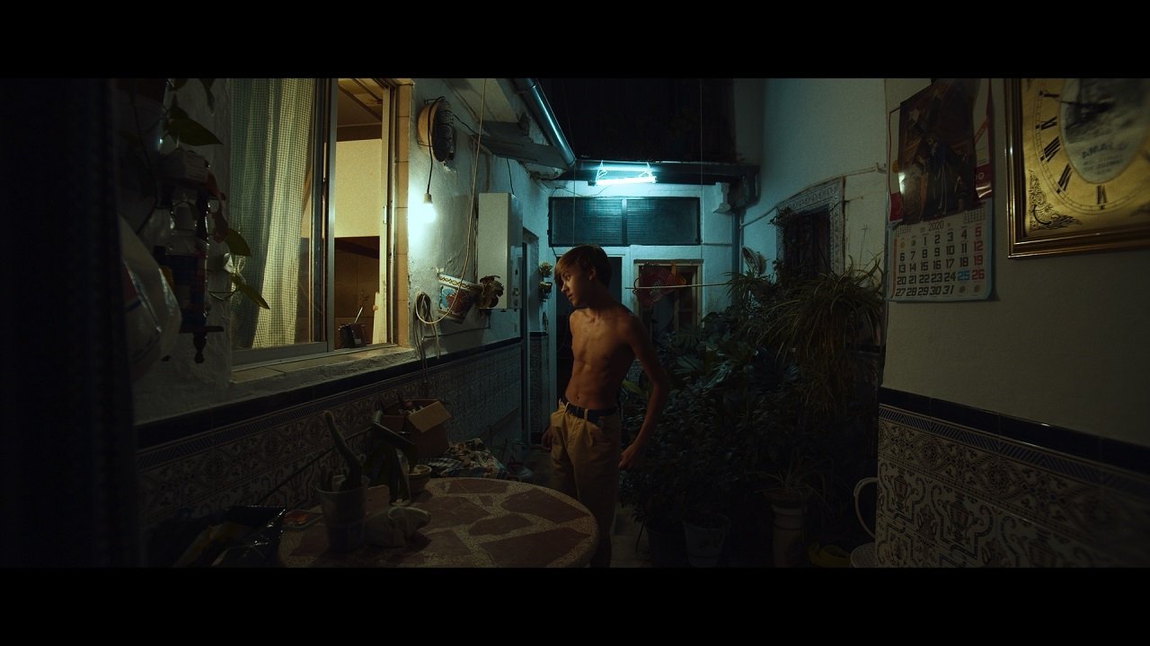 El cuento del limonero Background