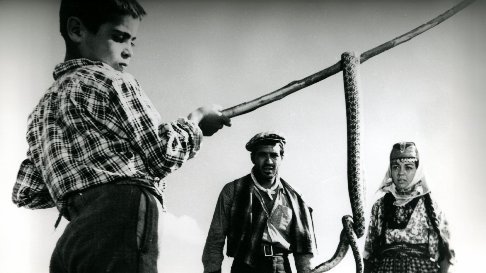 Revenge of the Snakes Background