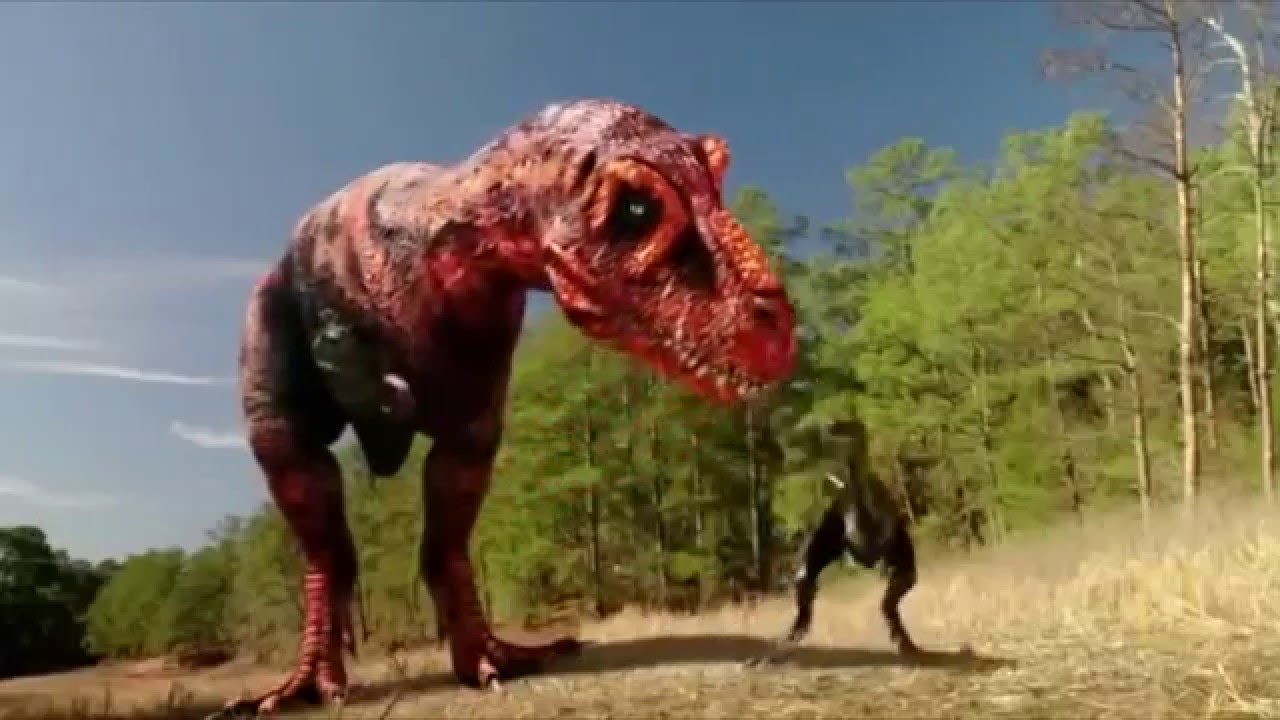 Dinosaurs Decoded Background