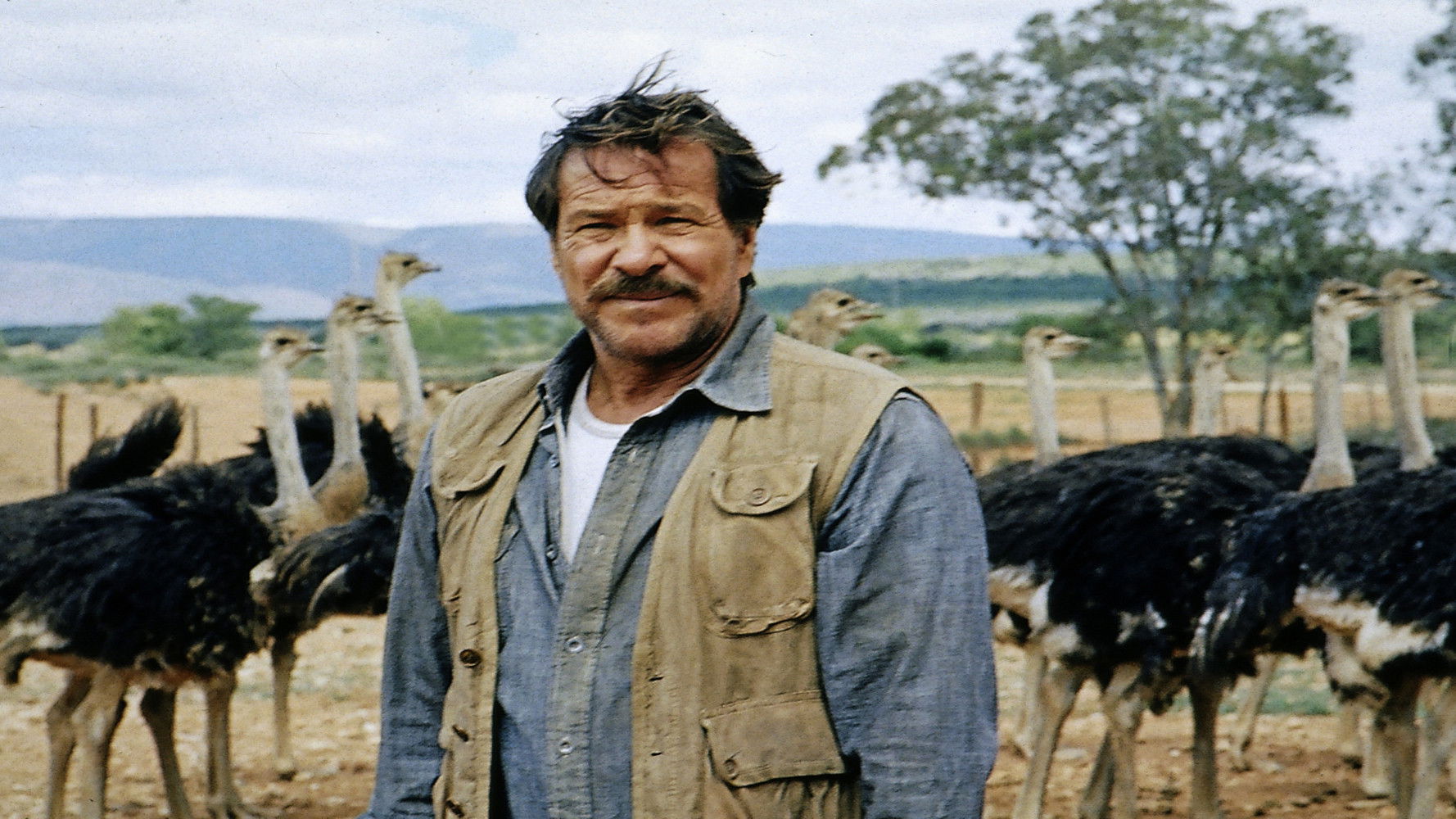 Einmal so wie ich will Background