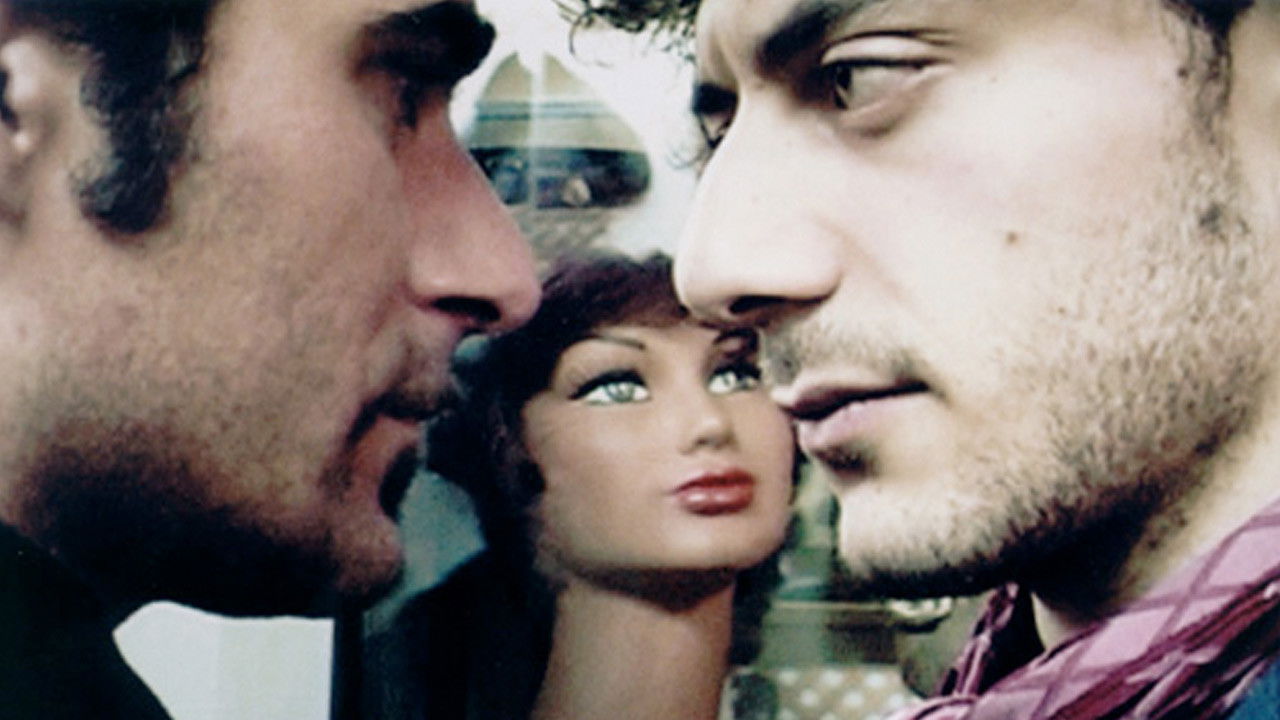 RosaTigre Background