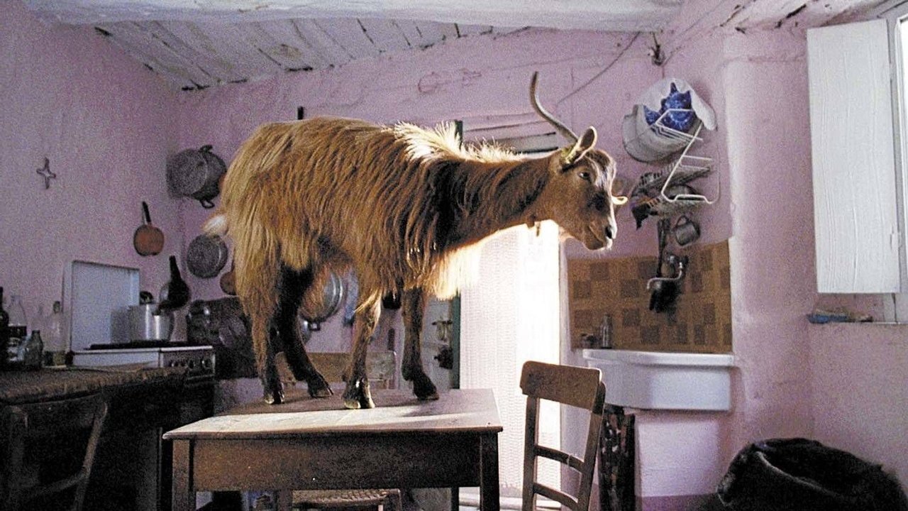 The Four Times Background