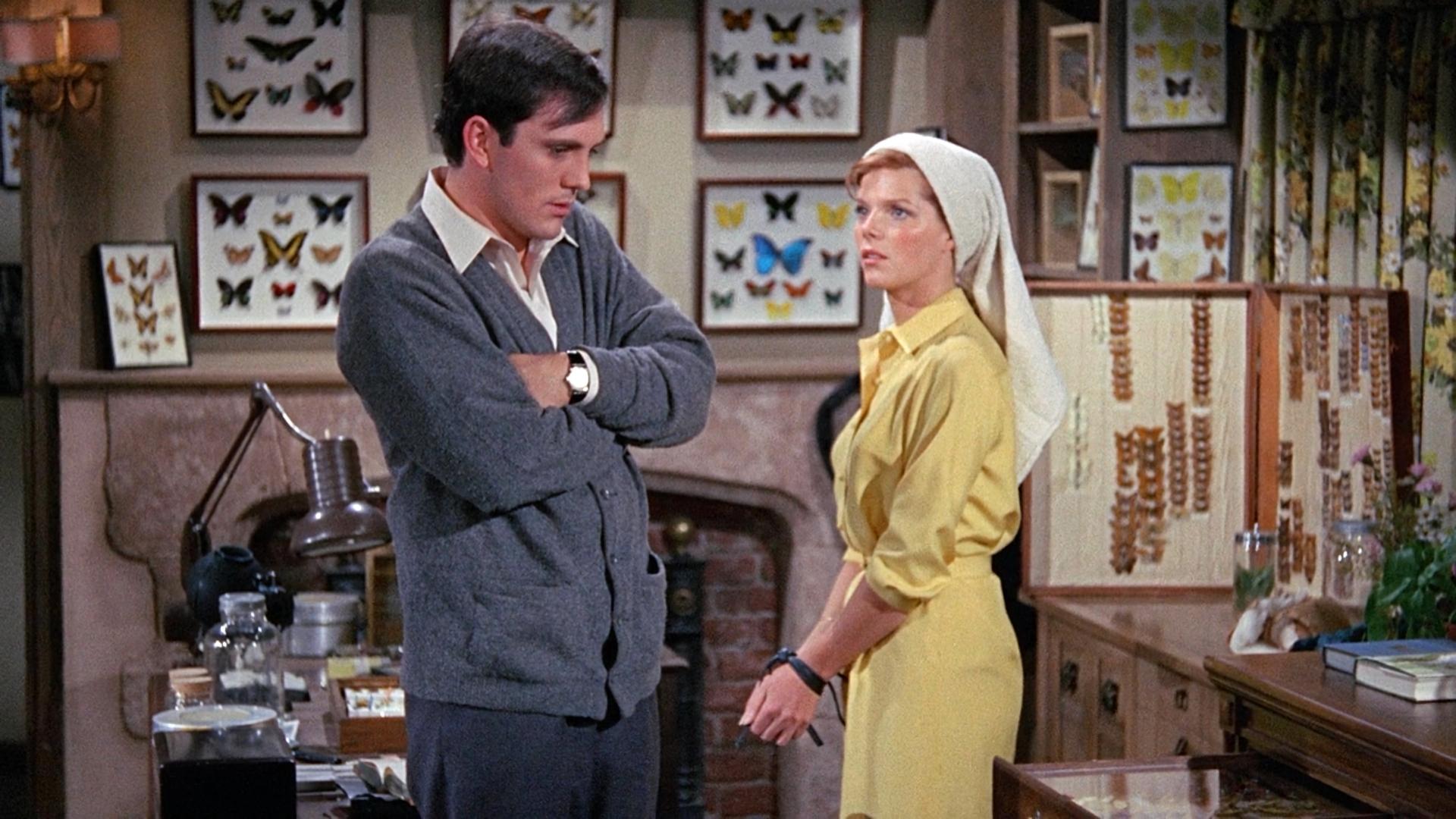 The Collector Background