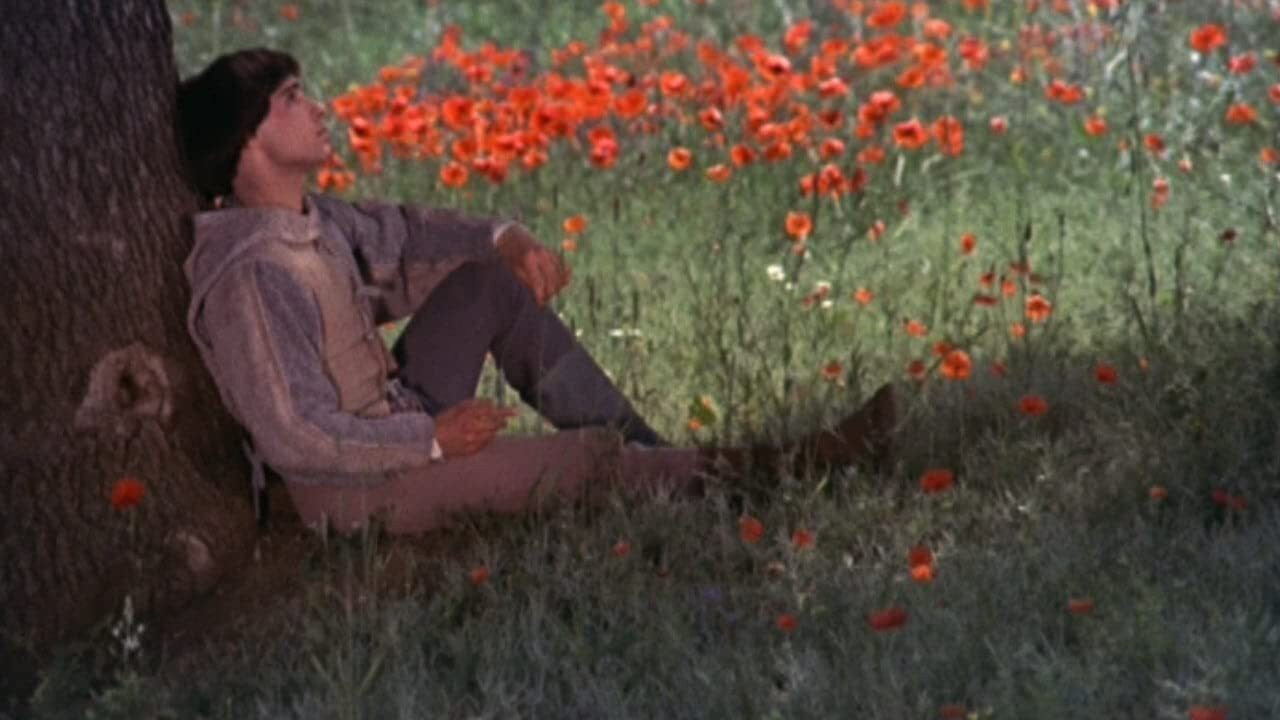 Brother Sun, Sister Moon Background