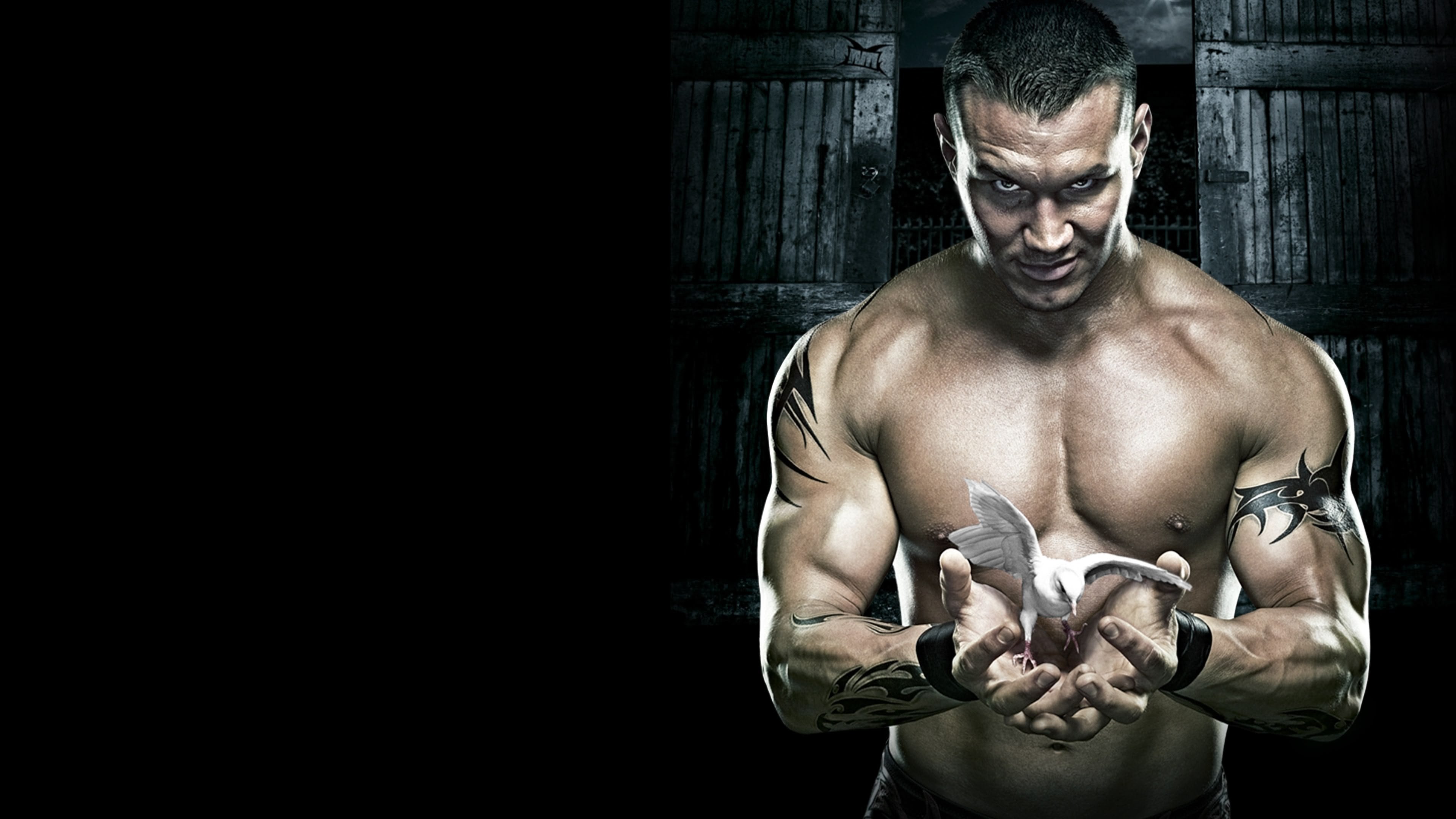 WWE No Mercy 2007 Background