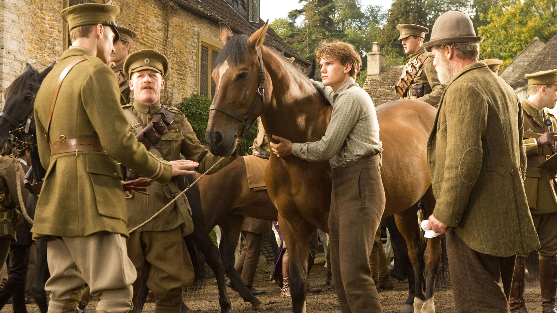 War Horse Background
