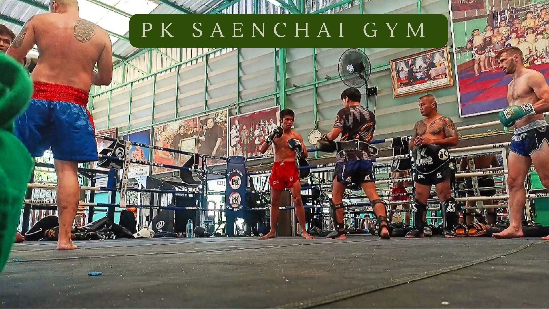 Pk Saenchai Gym Background