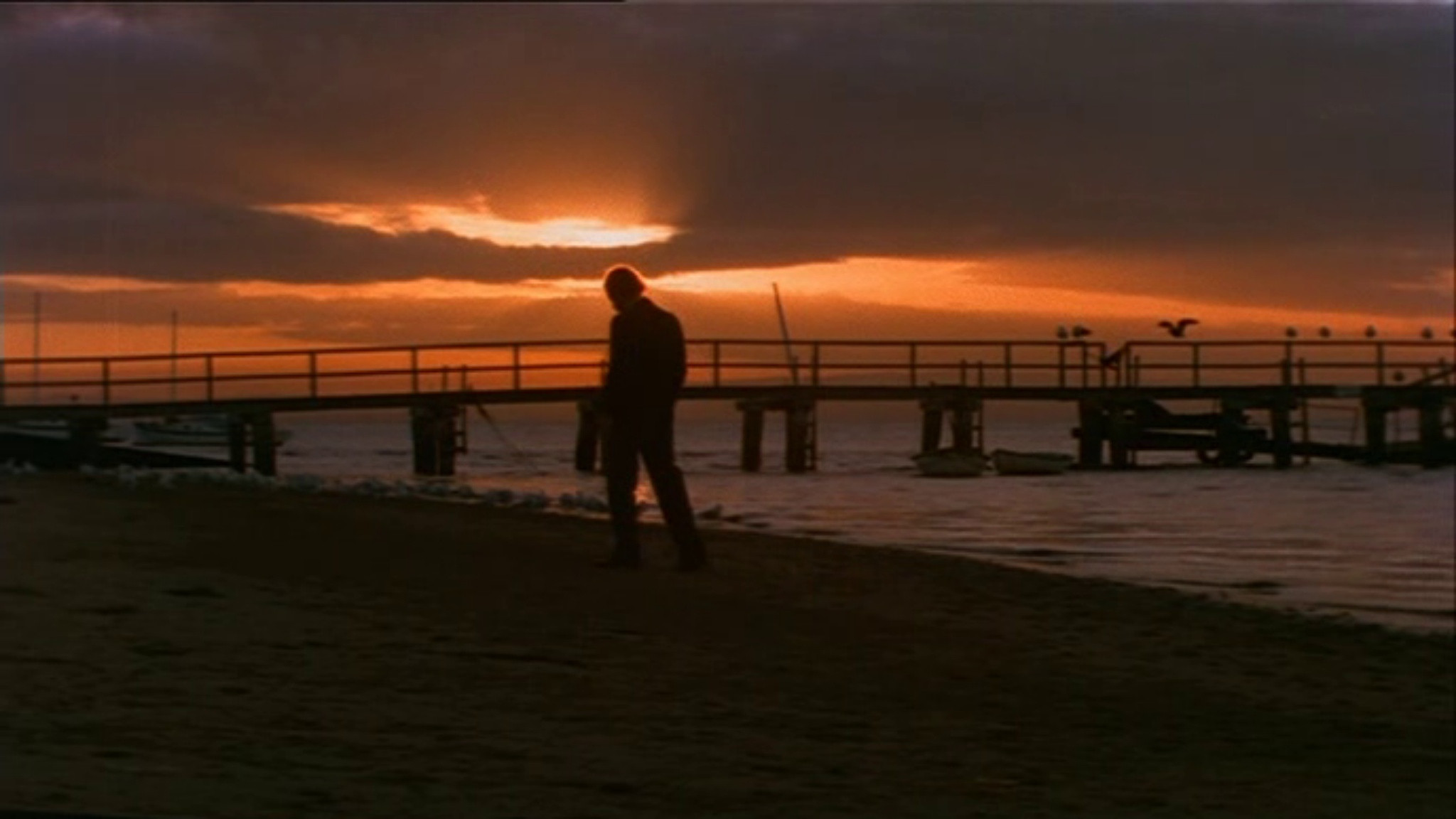 Summerfield Background