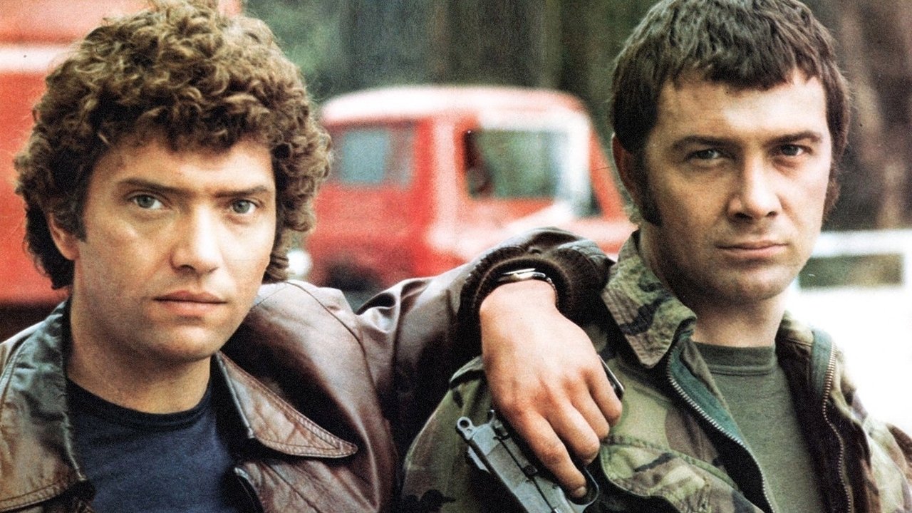 The Professionals Background
