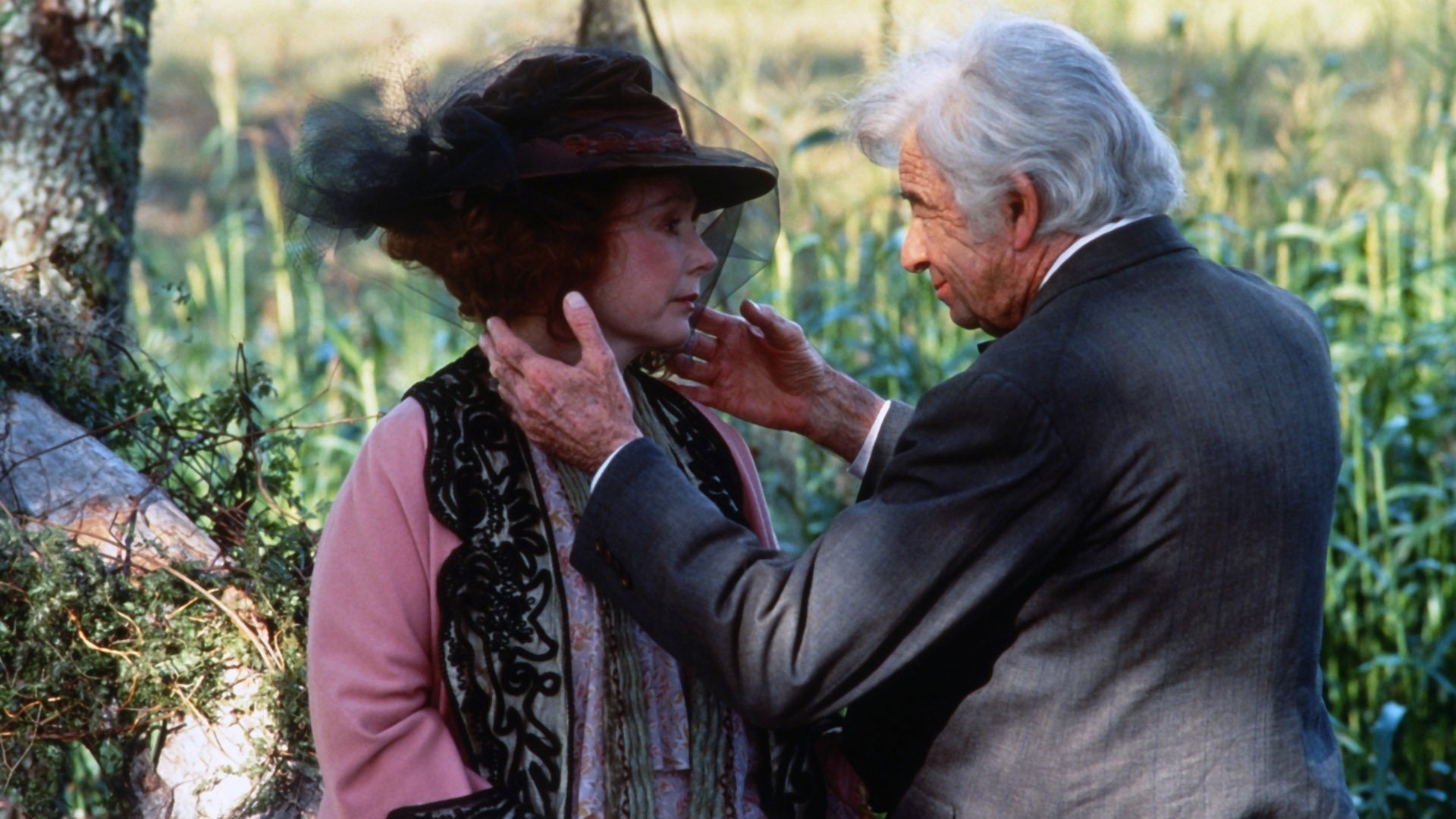 The Grass Harp Background