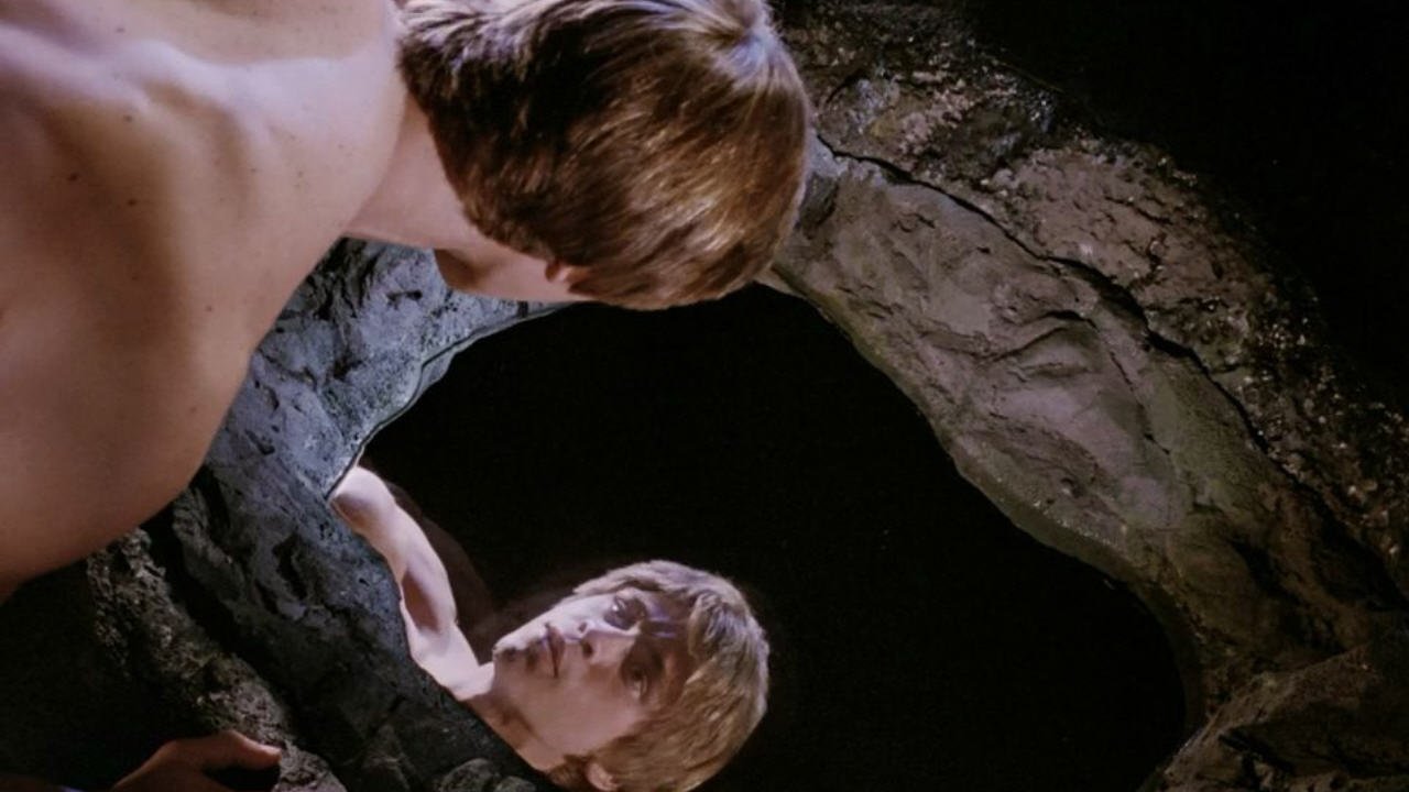 Narcissus Background