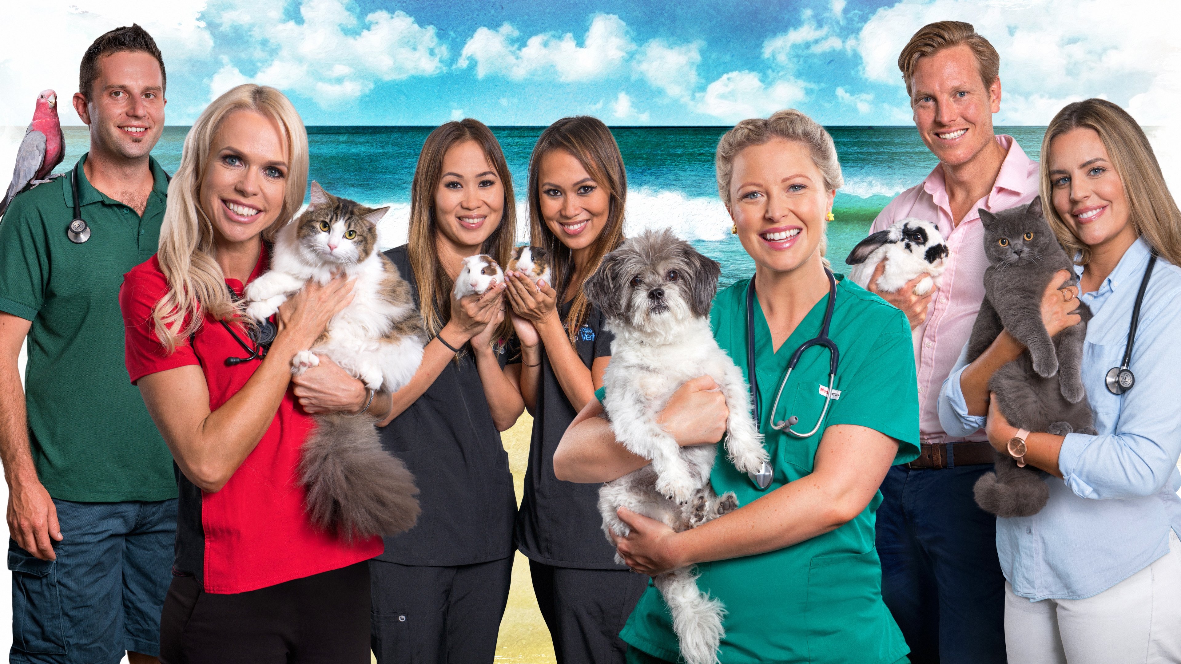 Bondi Vet: Coast to Coast Background