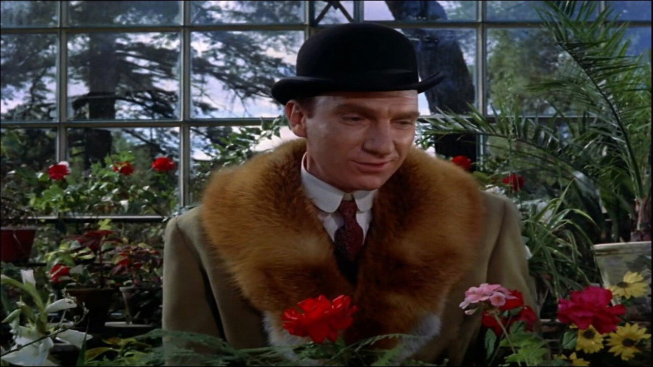 ¡Adiós, Mimí Pompón! Background