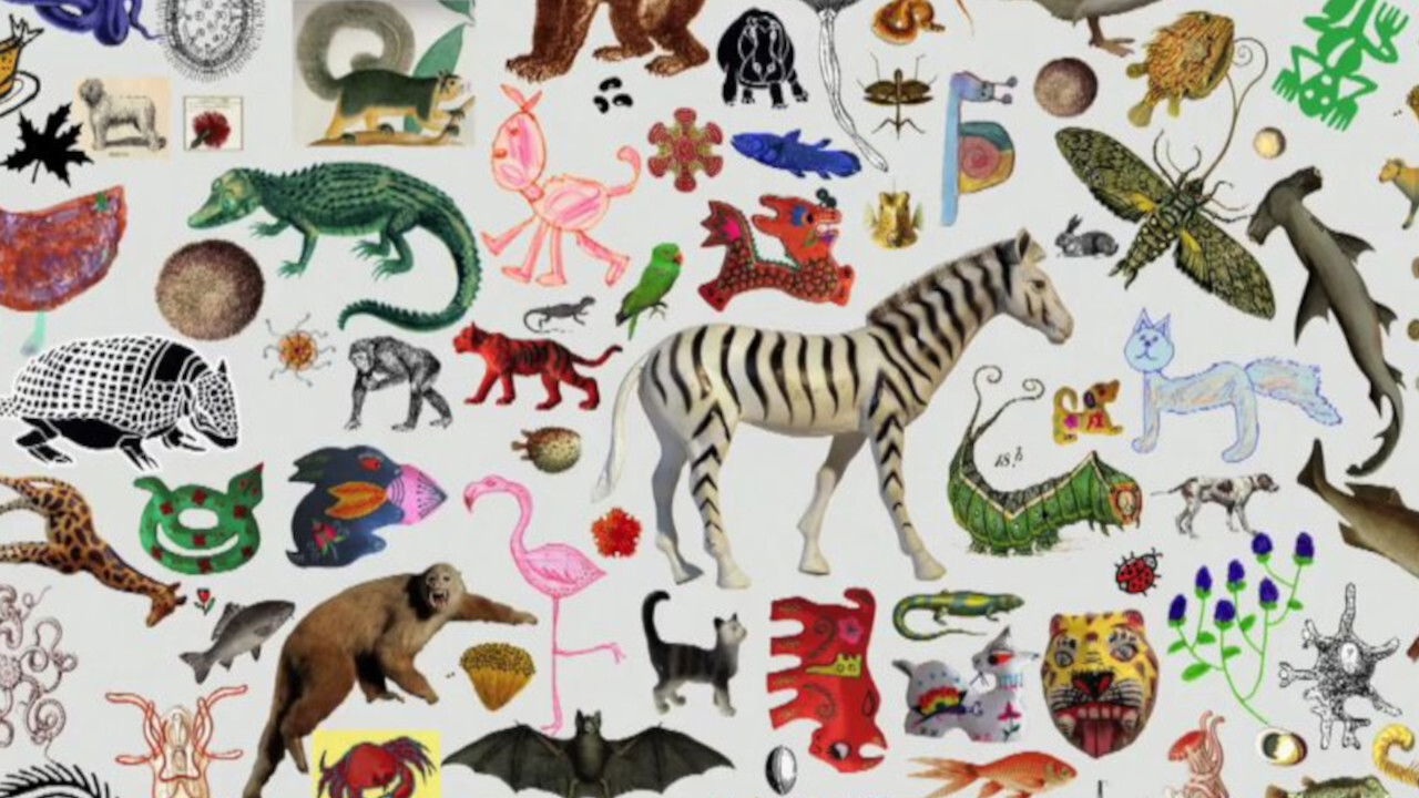 Espèces d'espèces Background