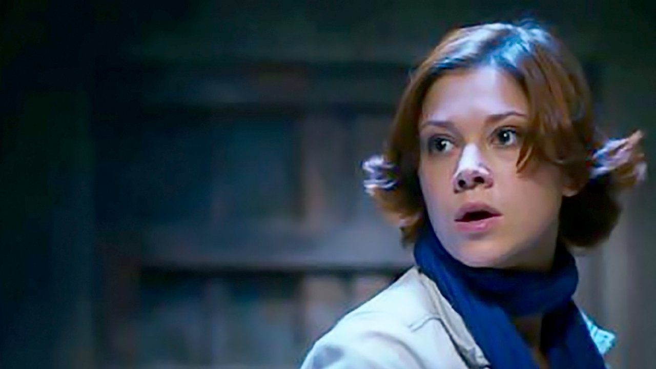 Dark World: Equilibrium Background