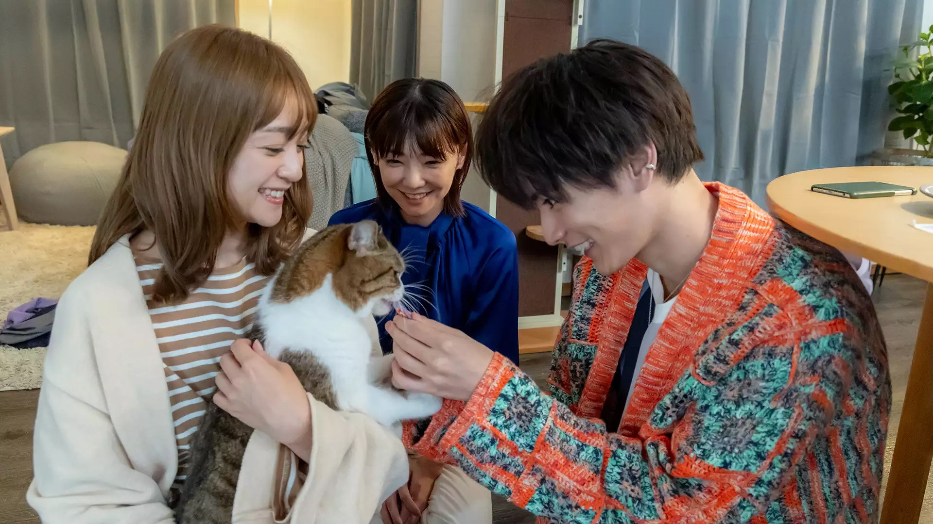 Crescent Moon and Cats Background