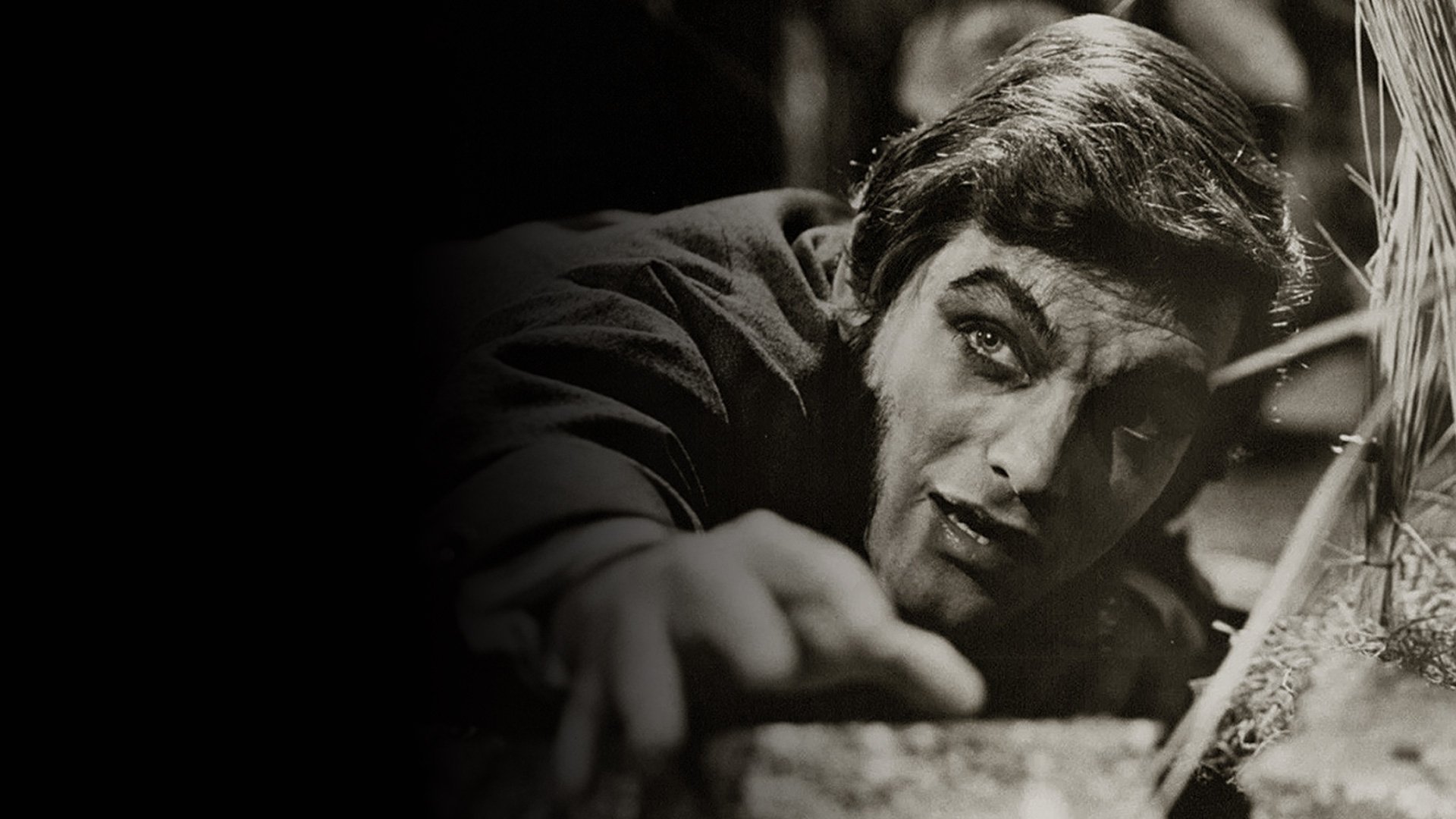 Dark Shadows: The Haunting of Collinwood Background