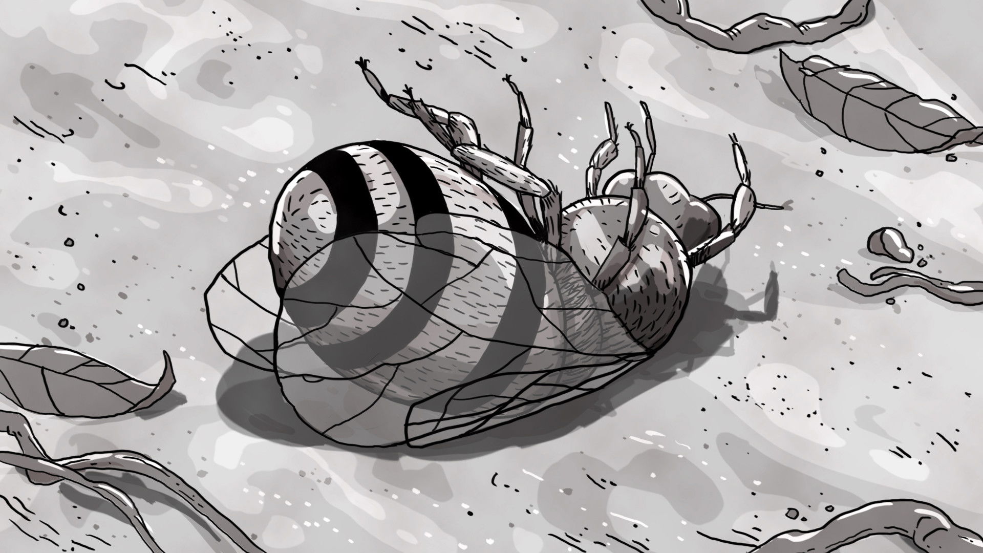 Vortex 31 Background